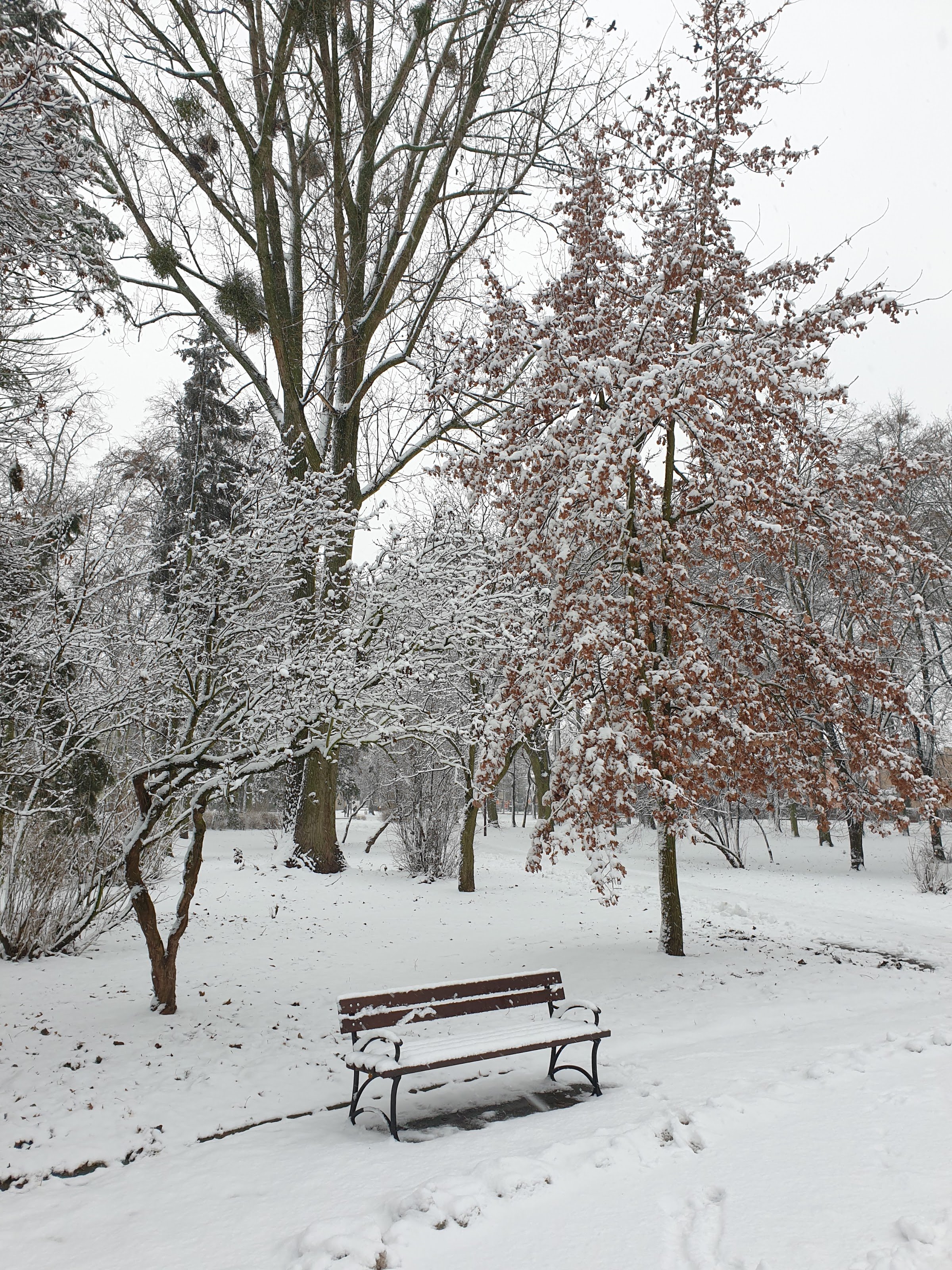 Park im. Jakuba Wagi